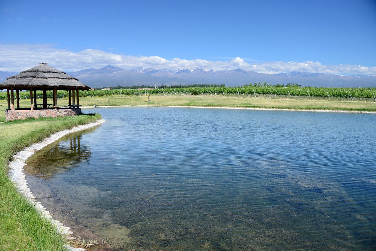 03-04 Small Pond With Mountains Beyond At Domaine Bousquet On Uco Valley Wine Tour Mendoza